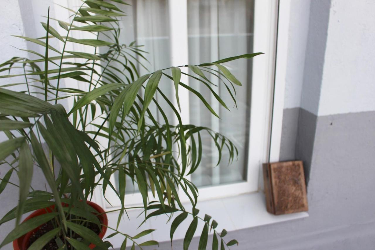 Precioso Apartamento Con Terraza Daire Madrid Dış mekan fotoğraf